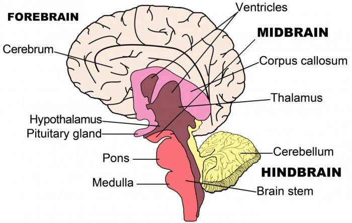 Identify areas