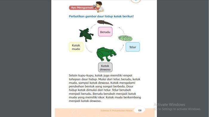 Kunci jawaban tema 1 kelas 3 halaman 132