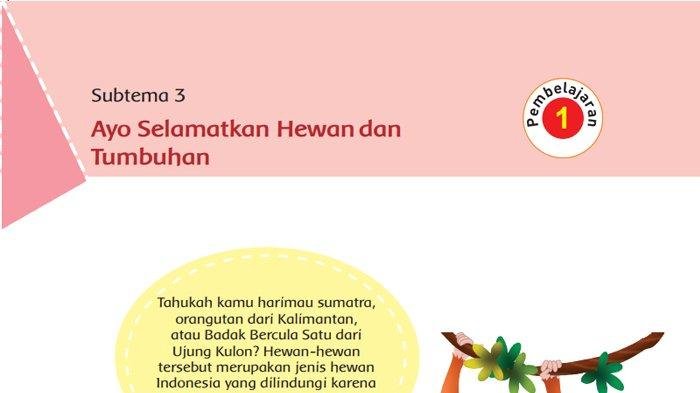 Kunci jawaban tema 9 kelas 6 halaman 116