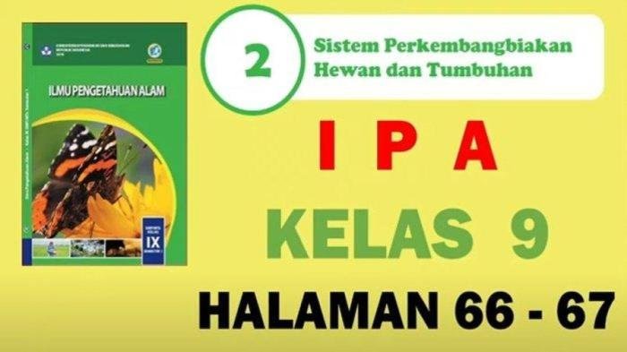 Kunci jawaban ipa kelas 9 halaman 66