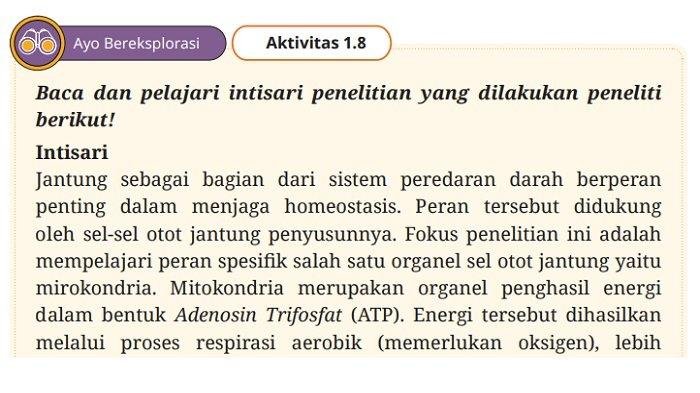 Kunci jawaban geografi kelas 11 kurikulum merdeka halaman 160