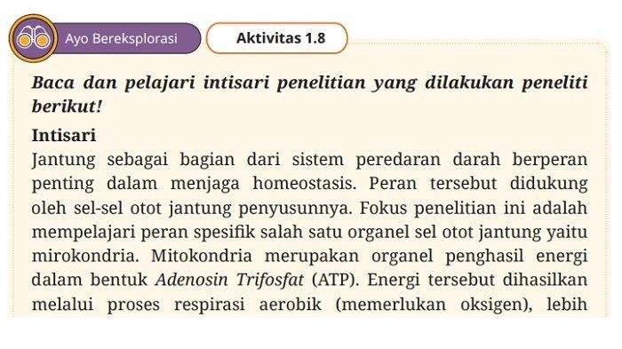Kunci jawaban pkn kelas 11 halaman 19 kurikulum merdeka