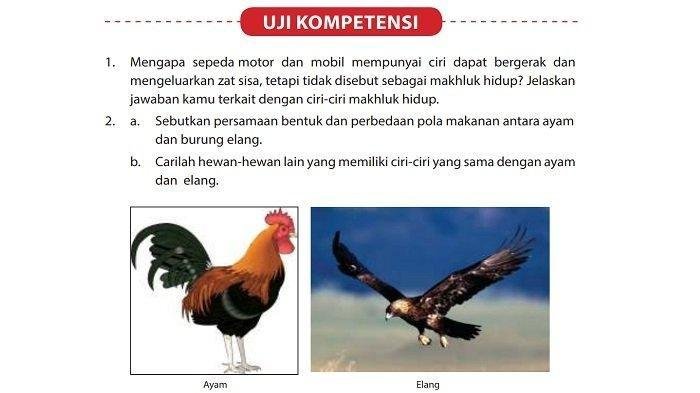 Kunci jawaban ipa kelas 7 halaman 40