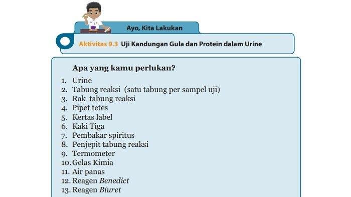 Kunci jawaban ipa kelas 8 halaman 249