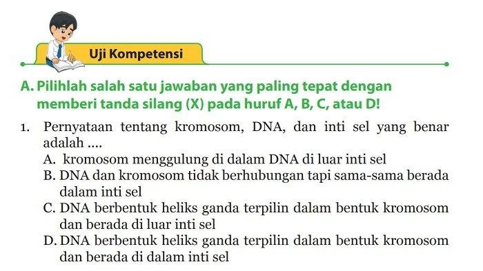 Kunci jawaban ipa kelas 9 halaman 157 159 brainly