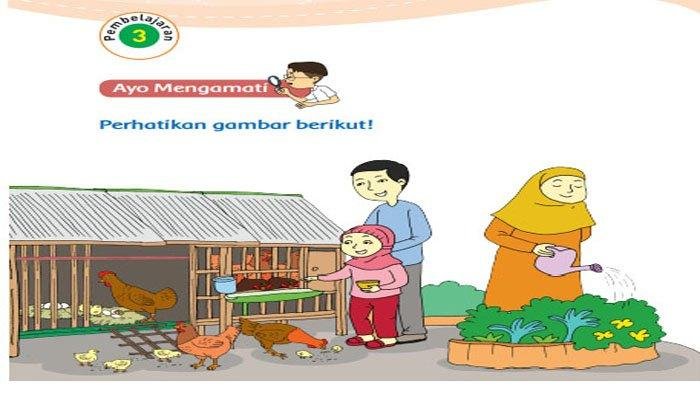 Kunci jawaban tema 1 kelas 3 halaman 3