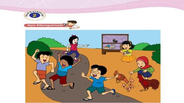 Kunci jawaban tema 3 kelas 3 halaman 172
