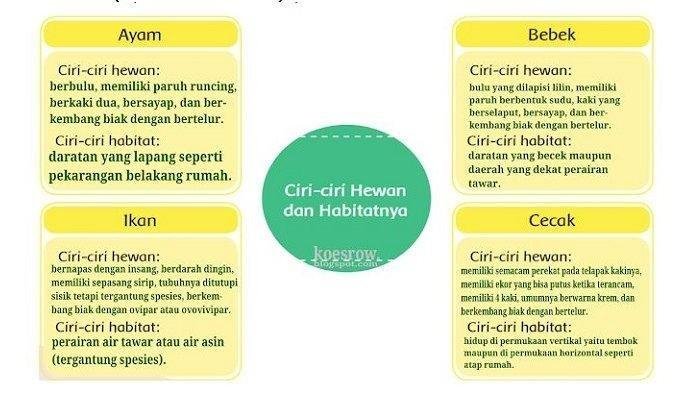 Kunci jawaban tema 4 kelas 6 halaman 25 26