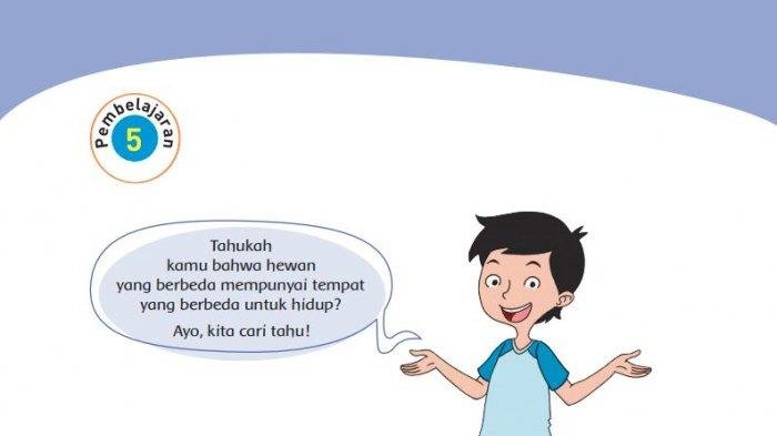 Kunci jawaban tema 4 kelas 3 halaman 78