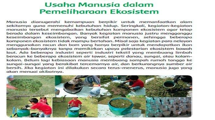 Kunci jawaban tema 5 kelas