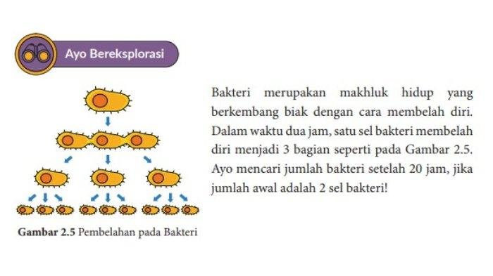 Kunci jawaban matematika kelas 10 kurikulum merdeka halaman 40