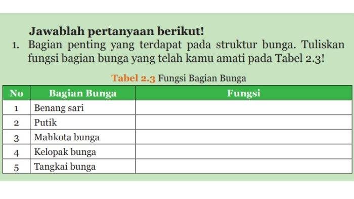 Kunci jawaban ipa kelas 9 halaman 66